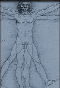Photo of Davinci Man